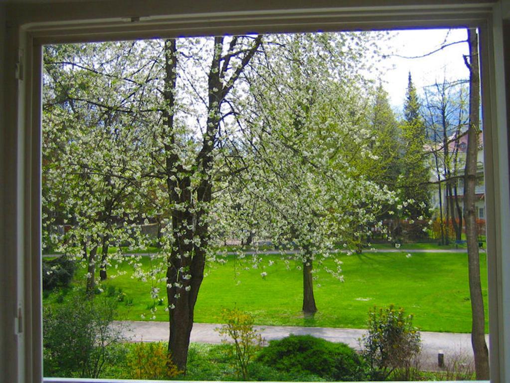 Ferienwohnung Am Ortenaupark Bad Reichenhall Exterior foto